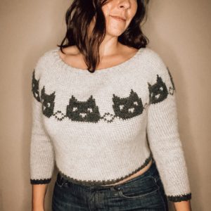 crochet cat sweater pattern